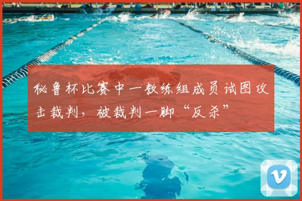 秘鲁杯比赛中一教练组成员试图攻击裁判，被裁判一脚“反杀”