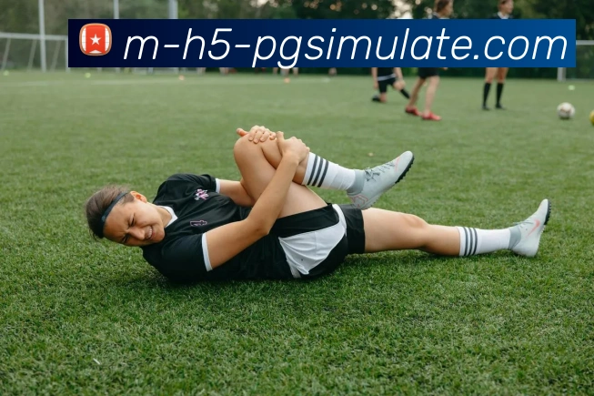 pg模拟器平台生态图